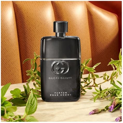 cologne gucci guilty pour homme|gucci guilty pour homme fragrantica.